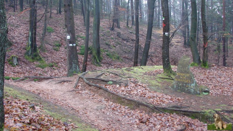 Ritterstein Nr. 066-5 Verhau vor Schanze I.jpg -  Ritterstein Nr.66  Verhau vor Schanze I